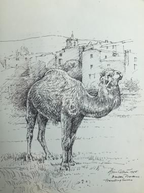 Provence-The Circus Camel